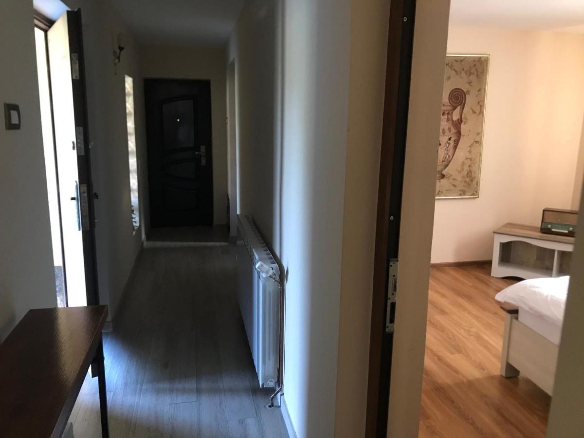 Apartament La Vila Curtea de Argeş المظهر الخارجي الصورة